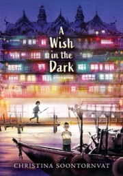 Cover of A Wish in the Dark