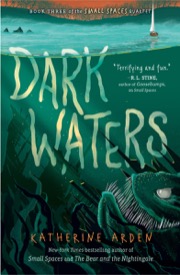 Cover of Dark Waters