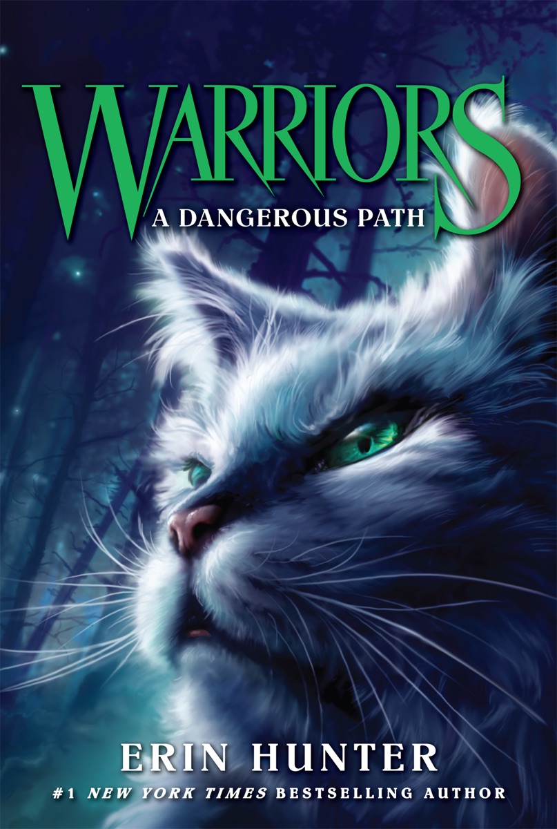 Cover of Warriors: A Dangerous Path