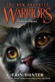Cover of Moonrise